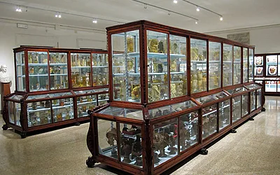 Anatomie patologică